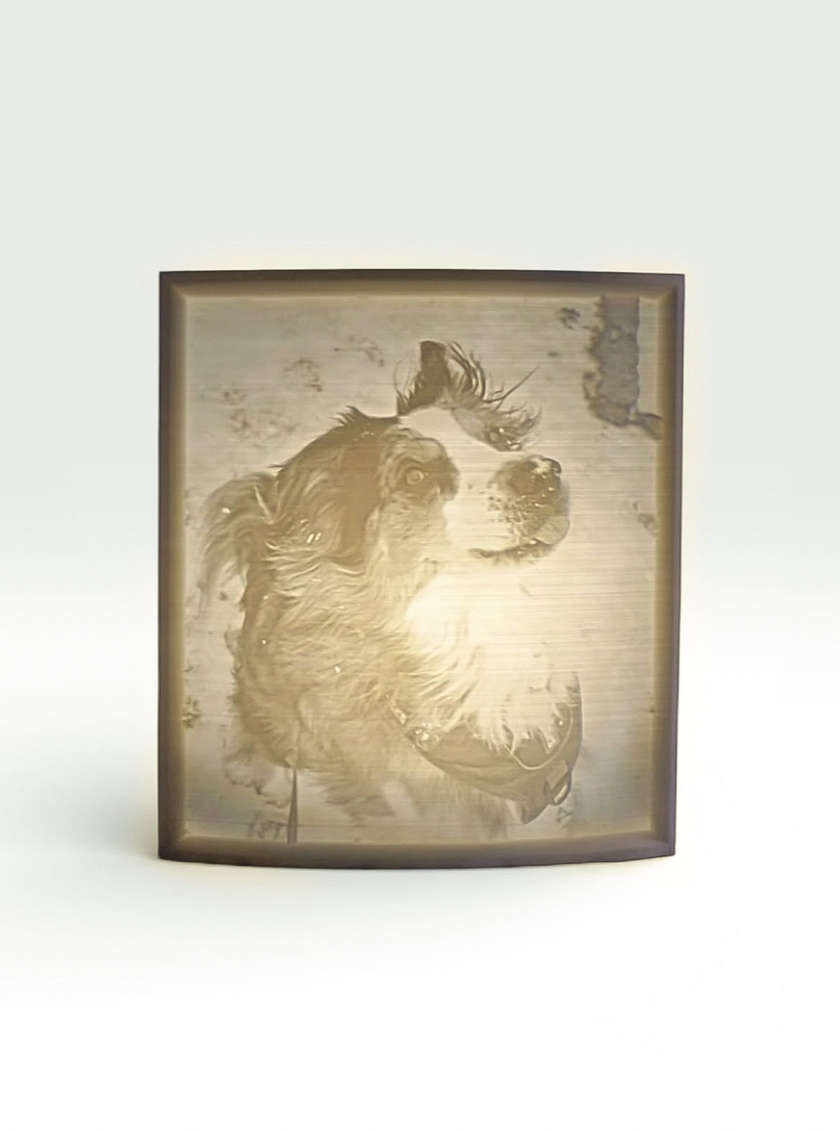 Gepersonaliseerde 3D foto lamp met eigen foto van je dierbare huisdier