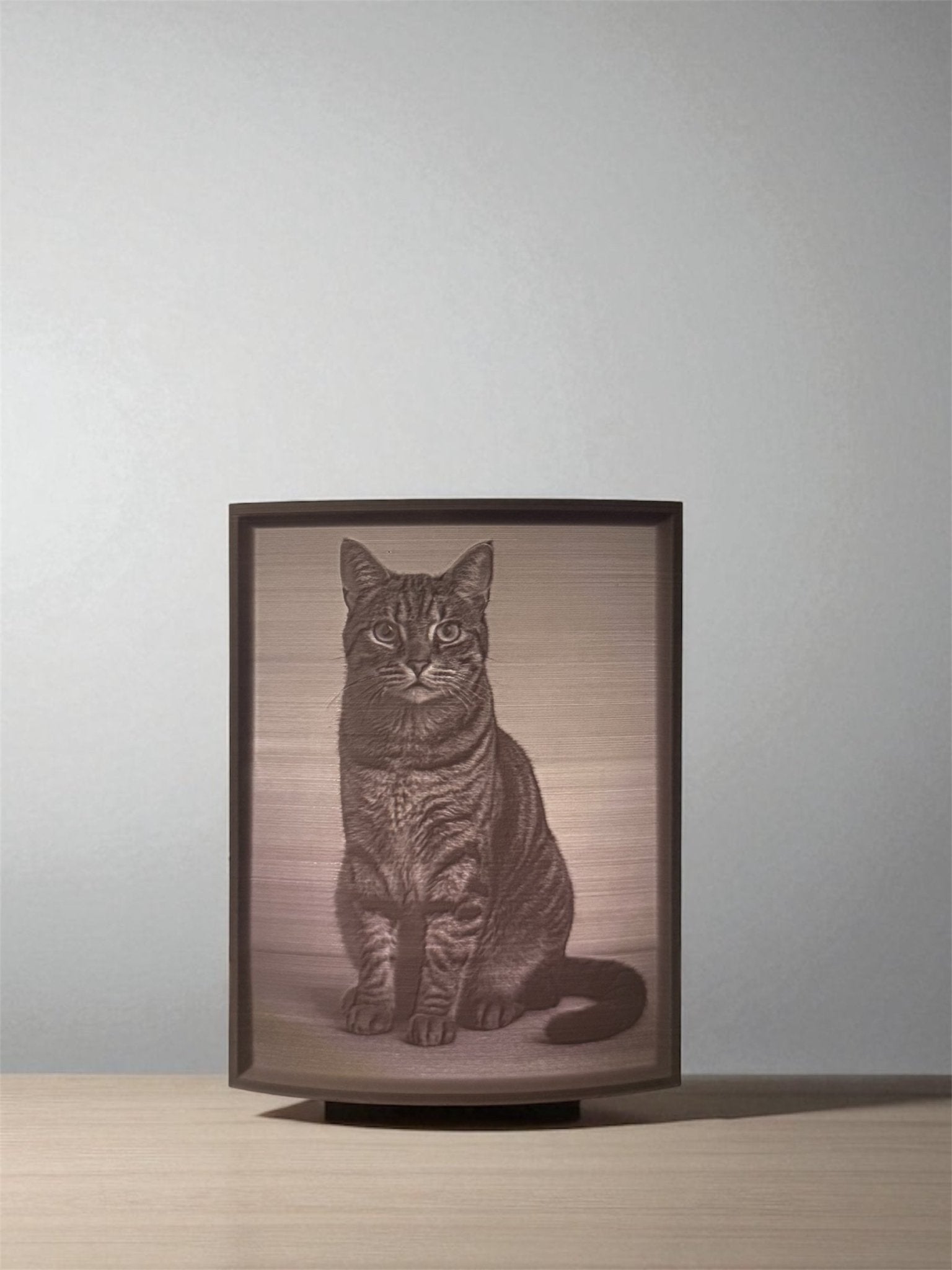Verlichte 3D-lithophane van een zittende kat met gestreelde vacht, weergegeven in reliëf in een rechthoekig frame op een tafel.